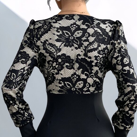 Lace V-Neck Long Sleeve Maxi Dress | Sheath Formal Stretchy Dress - Picture 8 of 12